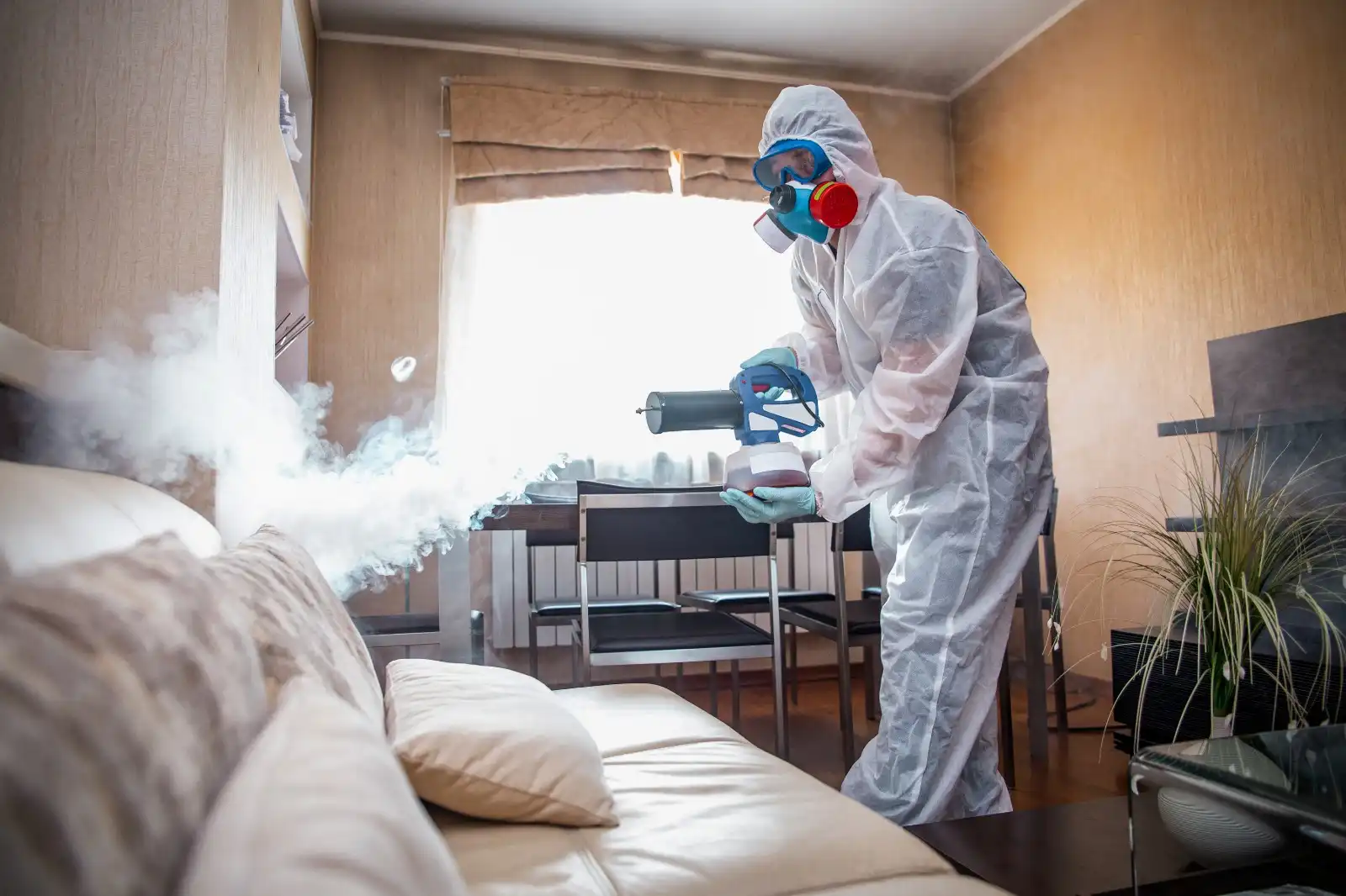 Bedbug Treatment